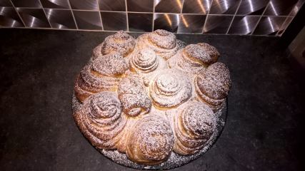 12482781_10207988512500846_1177881478_o