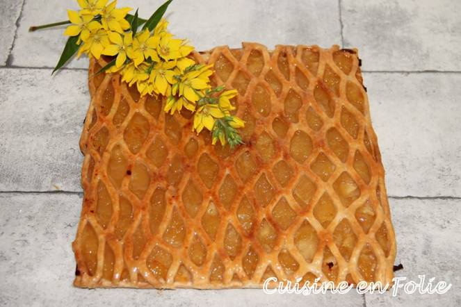 13569814_10208210323089034_1453626694_o